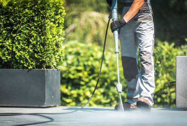 Best Soft Washing for Delicate Surfaces in Wathena, KS